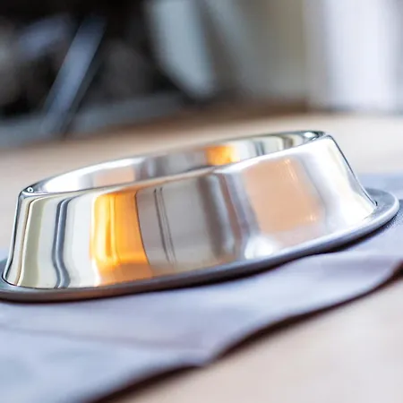 Hotel Ostseeblick - Direkt Hinter Den Duenen