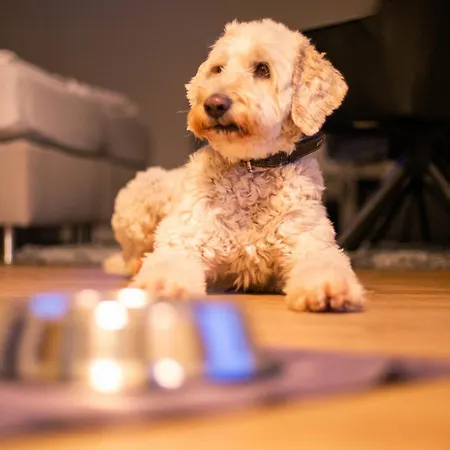 Отель Ostseeblick - Direkt Hinter Den Duenen