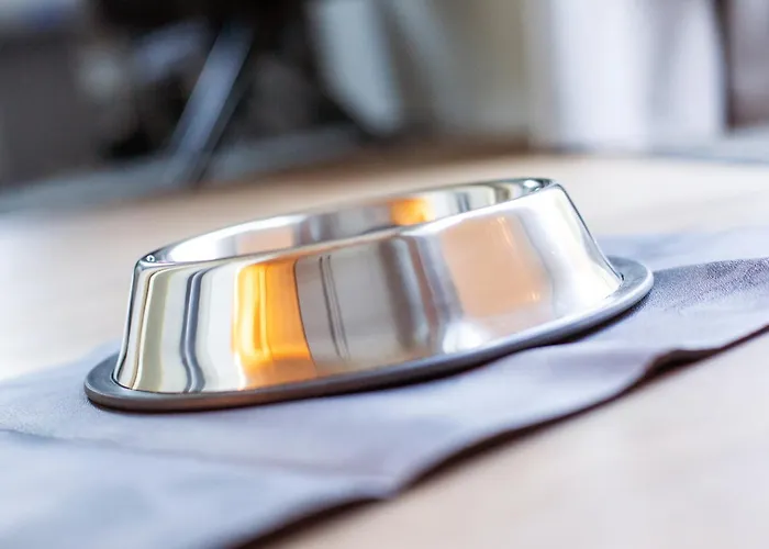 Отель Ostseeblick - Direkt Hinter Den Duenen