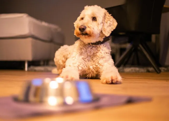 Hotel Ostseeblick - Direkt Hinter Den Duenen