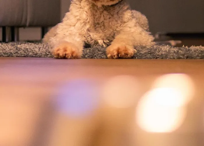 Hotel Ostseeblick - Direkt Hinter Den Duenen *