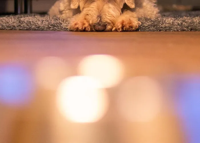 Отель Ostseeblick - Direkt Hinter Den Duenen