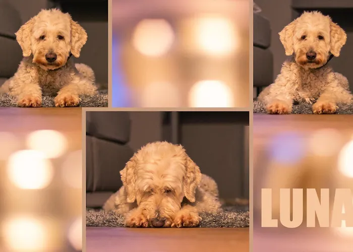 Ostseeblick - Direkt Hinter Den Duenen Отель Karlshagen