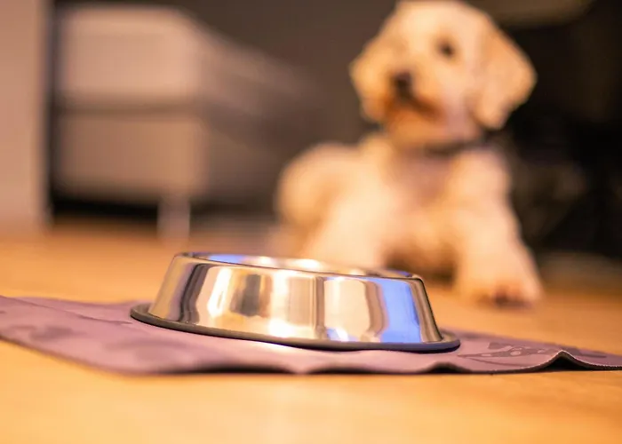 Ostseeblick - Direkt Hinter Den Duenen *